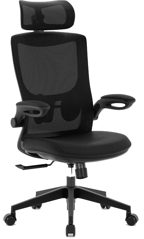 Cadeira ergonômica Core