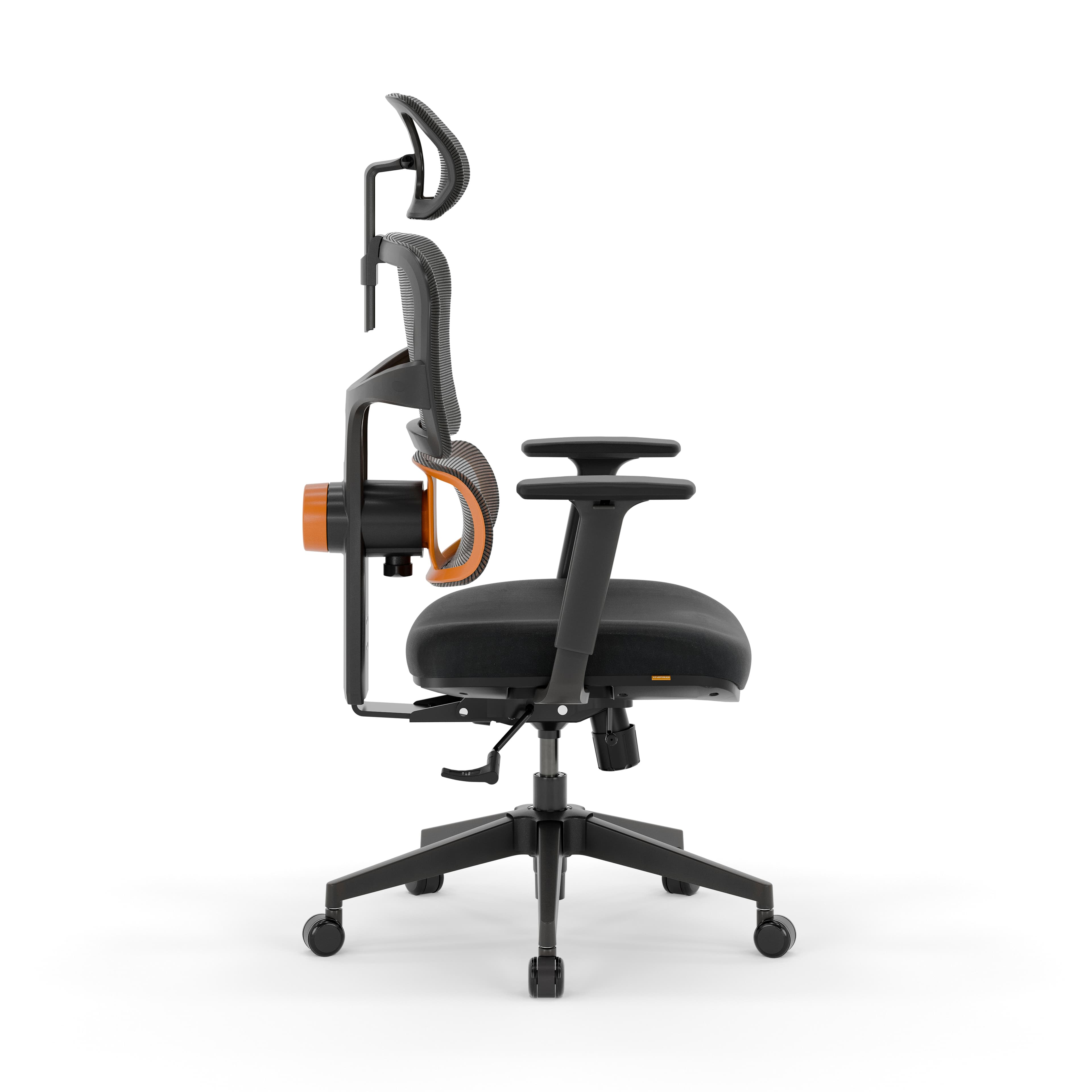 Pro