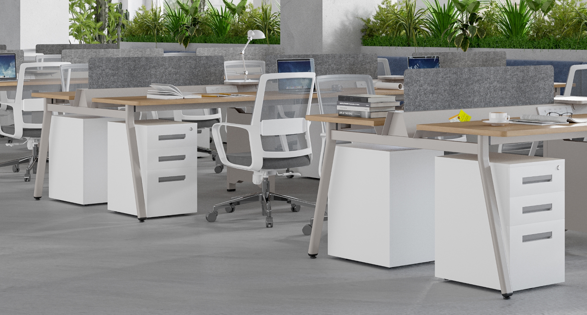 Design moderno da linha Ley