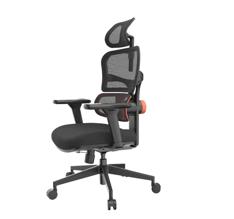 Cadeira Ergonômica Pro