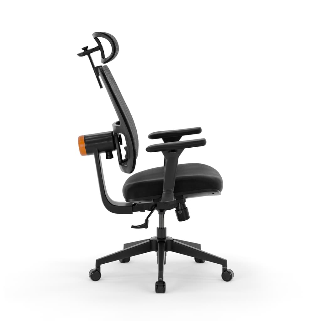 Cadeira Ergonômica Plus